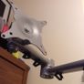 Single Monitor Desk Mount, Height Adjustable Monitor Stand Mount, Full Motion Monitor Arm Desk Mount Image 9