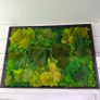 Wall decor 55x77cm natural moss Image 2