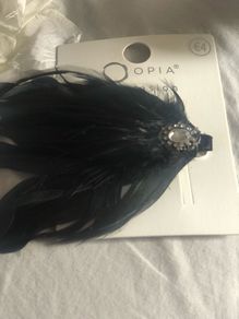 feather brooch