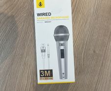 Karaoke Microphone