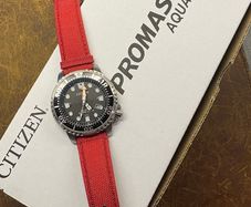 Citizen Promaster Eco Drive Watch