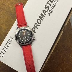 Citizen Promaster Eco Drive Watch