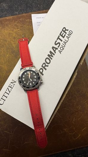 Citizen Promaster Eco Drive Watch
