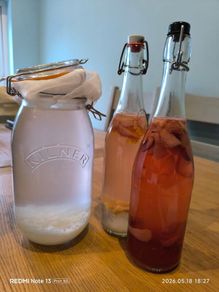 Water Kefir Grains