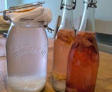 Water Kefir Grains