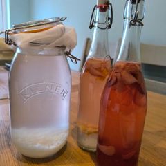 Water Kefir Grains