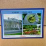 6 Irish Post Cards ( kerry ) Image 5