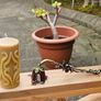 candles Image 3