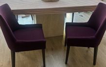 Dining Chairs
