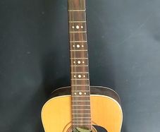Guitar de Giorgio 12 strings