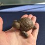 Cast Iron Brown Turtle Home Decor Image 5