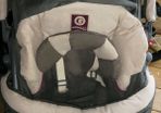 Graco Pram & Car Seat