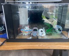 Fish tank