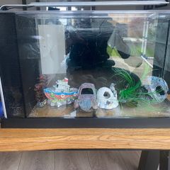 Fish tank
