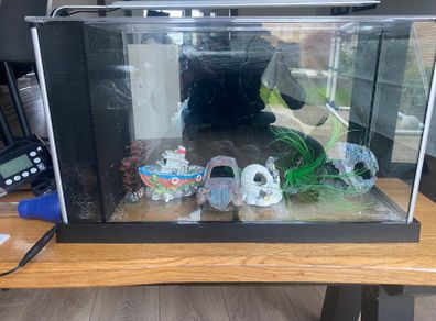 Fish tank
