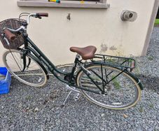 Ladies  Bicycle.