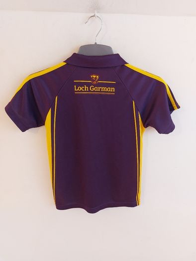 wexford gaa jersey