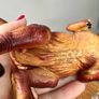 Bundle 8 dinosaurs Schleich Papo Image 3