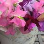 Cut flowers :Sweetpea Image 3