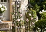 French Style Rose Obelisks Set of 2
