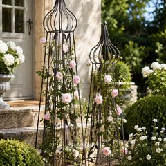 French Style Rose Obelisks Set of 2