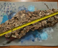 Cork Bark for Reptile Terrarium/Vivarium
