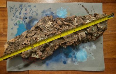Cork Bark for Reptile Terrarium/Vivarium