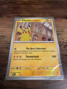 Pikachu at the Museum (sealed)