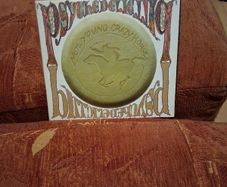 Cd Neil Young With Crazy Horse  Psychedelic Double Cd