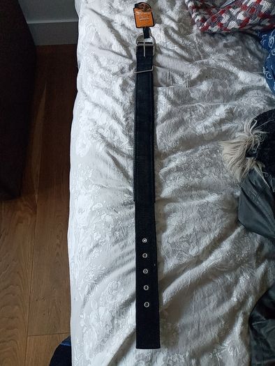 Large dog collar