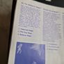 Shadow Dancers The secrets of Shinobi Master System Arcade Retro Games Original Image 6