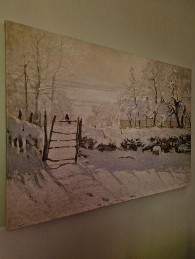 Monet - canvas print