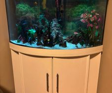 Fish tank 190