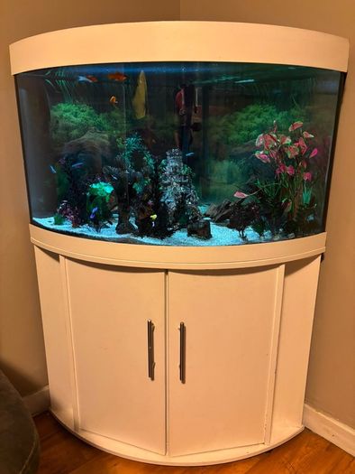 Fish tank 190
