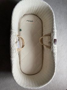 Moses basket
