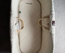 Moses basket