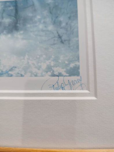 Through earthen riches framed picture print signed by Phillipe Gray.