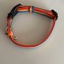 Dukier Rainbow Dog Collar (small) Image 3