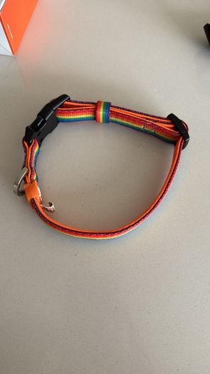 Dukier Rainbow Dog Collar (small)