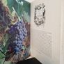 The History of Champagne by Andre L. Simon (Signed by the Author) (CP302) Image 10