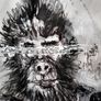 Cryptowise Primates, Hodl, Halve, Hope Image 6