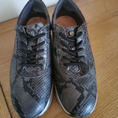 Pitillos trainers
