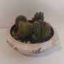 Lovely Arklow Pottery Tureen with Cacti Garden - A Fabulous Unique and Decorative Item for Display Indoors Image 10