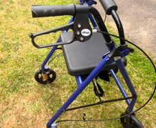 mobility walker