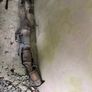 Toyota Prius 2011 parts Image 2