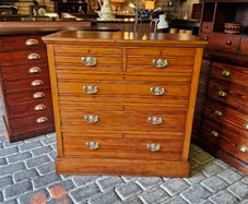 Chest
