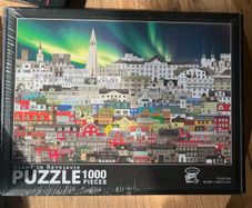 1000 Piece Jigsaw Puzzle of Night in Reykjavik