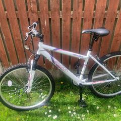 Apollo  mountain bike