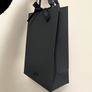 APM Monaco gift bag shopping bag Image 2