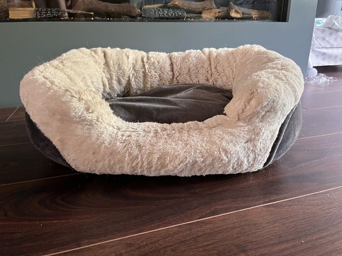 cat bed